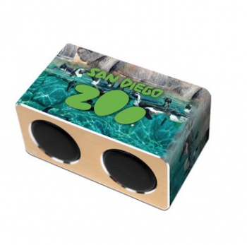 The VP Bluetooth Speaker