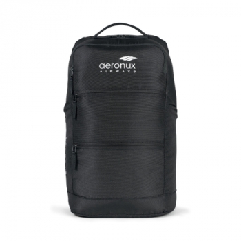 Roux Computer Backpack