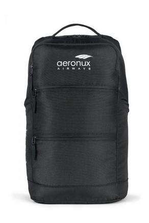 Roux Computer Backpack