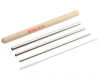 Reusable Stainless Straw Set with Eco Tube