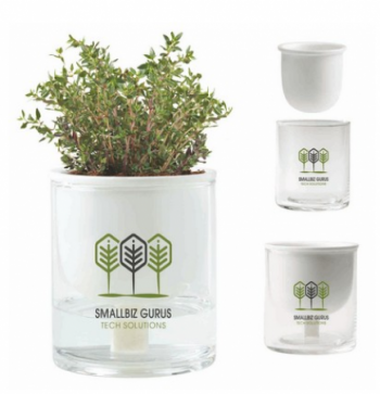 Self Watering Planter