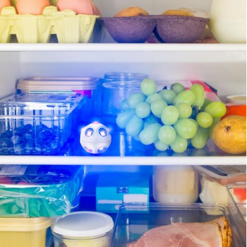 The Mold and Germ Destroying UV Light Spheres