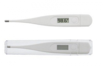 Electronic Thermometer