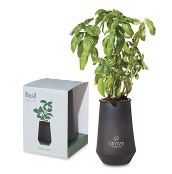 Modern Sprout Tapered Tumbler Grow Kit - Black-Basil