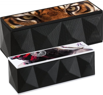 RoxBox™ Duet Bluetooth Speaker