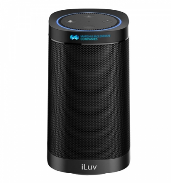 iLuv® Portable Speaker for Echo Dot (2nd Gen)