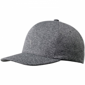Puma Evoknit Delta Flexfit Cap