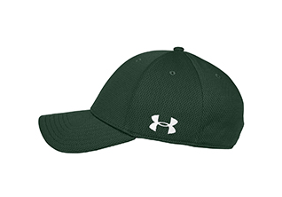 Under Armour Curved Bill Solid Cap