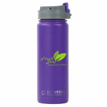 20 oz. EcoVessel Perk Bottle